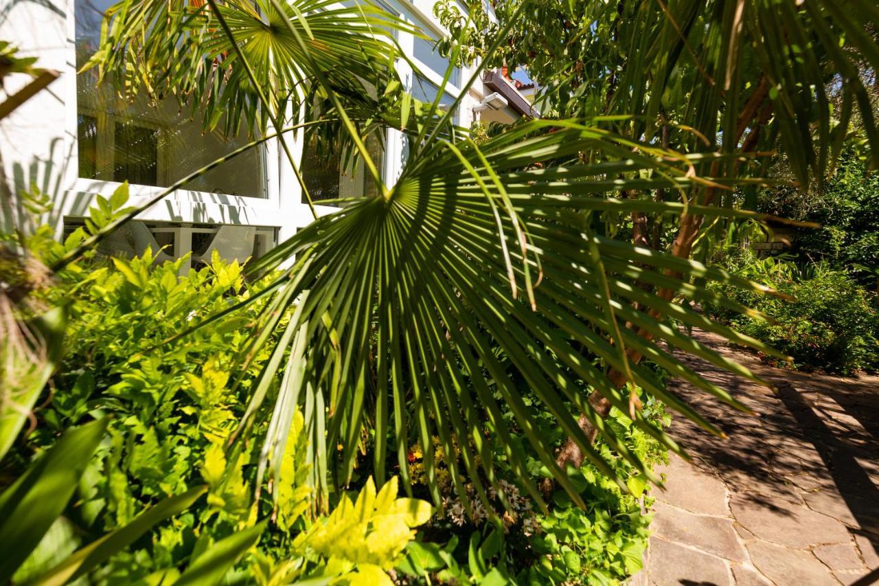 Apartment Lemut Portoroz Exterior photo